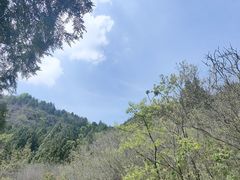 -府君山公园