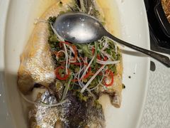 -老人和饭店(打浦路店)