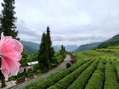 -太阳湾风景区