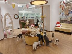 -1013 PET SHOP精品宠物商店(丁香店)