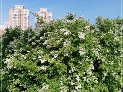 -太阳宫公园