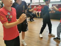 -温鉴良实用咏春拳