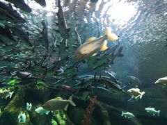 -波塞冬旅游度假区