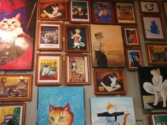 -猫咪博物馆(顶澳仔猫街店)