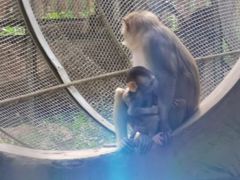 -辛玛王国游乐园