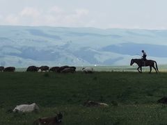 -新疆那拉提国家旅游度假区