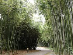 -苏州河梦清园环保主题公园