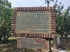 -金龙寺国家森林公园