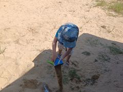 -瑶湖郊野森林公园