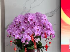 -花神·轻食简餐·咖啡馆·花卉绿植(荷兰花卉小镇店)