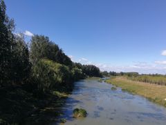 -东郊湿地公园
