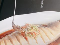 清蒸狮麟鳐鱼-金狮麟·新豫菜(金码大厦店)