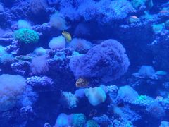 -太平洋海底世界