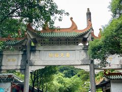 -南海湾森林生态园