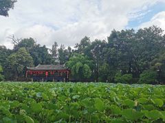 -房湖公园