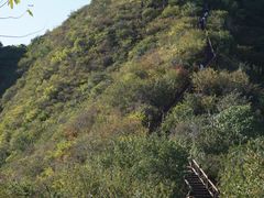 -大岭沟猕猴桃谷风景区