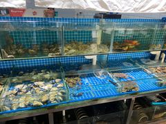 水产区-烧货·活海鲜炭烧(湖滨商业街店)