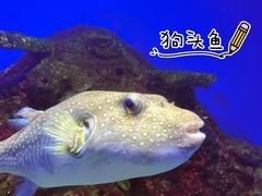 -泉城欧乐堡海洋极地世界