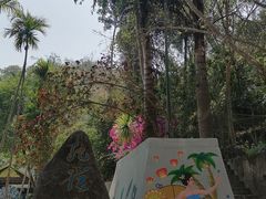 -西双版纳原始森林公园