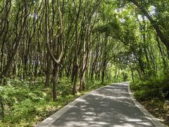 -同里国家湿地公园
