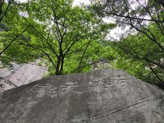 -王顺山国家森林公园