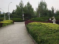 -滨河世纪广场公园