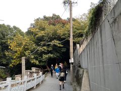 -紫金山山顶公园