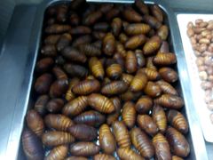 -杨记齐齐哈尔烤肉(总店)