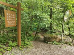 -本溪汤沟绿石谷森林公园