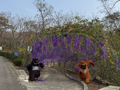-丹东市五龙山风景区