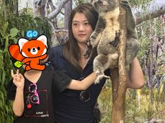 -费瑟代尔野生动物园