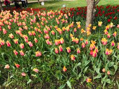 -长春公园(普阳街道)