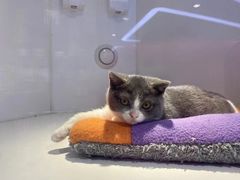 -龟与熊猫宠物公园(南坪店)