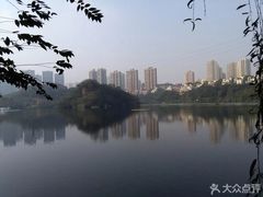 -重庆彩云湖湿地公园