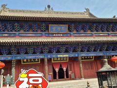 -大槐树寻根祭祖园