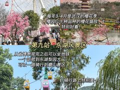 -武汉知音号