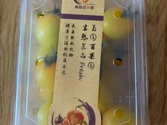 -菊园百果园