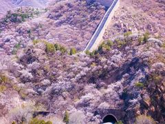 -居庸关长城