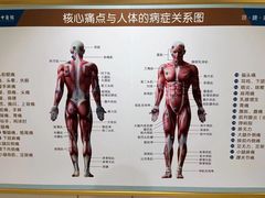 -通透堂中医·精准推拿(旗舰店)