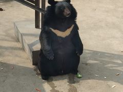-保定市动物园