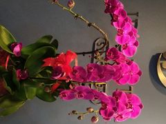 -精德口腔·种植修复·儿牙中心(财富中心店)