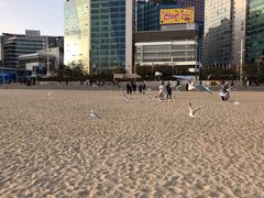 -海云台海滩