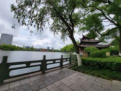 -月湖公园