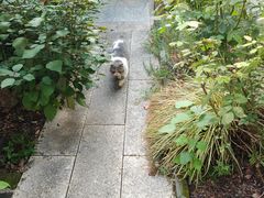 -谷咖啡·鲜花绿植花园餐厅