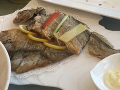 -骏莱海鲜鱼港(五角场店)