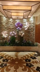 -青岛香格里拉·氣水疗中心