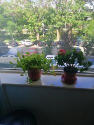 -佳医堂·小儿推拿·产后康复·脊柱养护(新华联家园店)