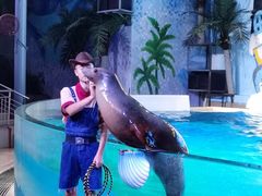 -三亚海昌梦幻海洋不夜城