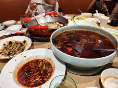 -渝信川菜 · 川味家常菜(财富购物中心店)