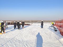 -呼兰河口湿地公园